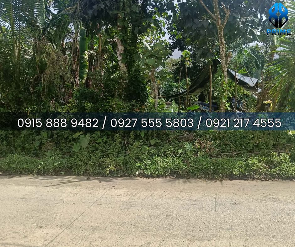 Lot for Sale in Laguna, photo 5