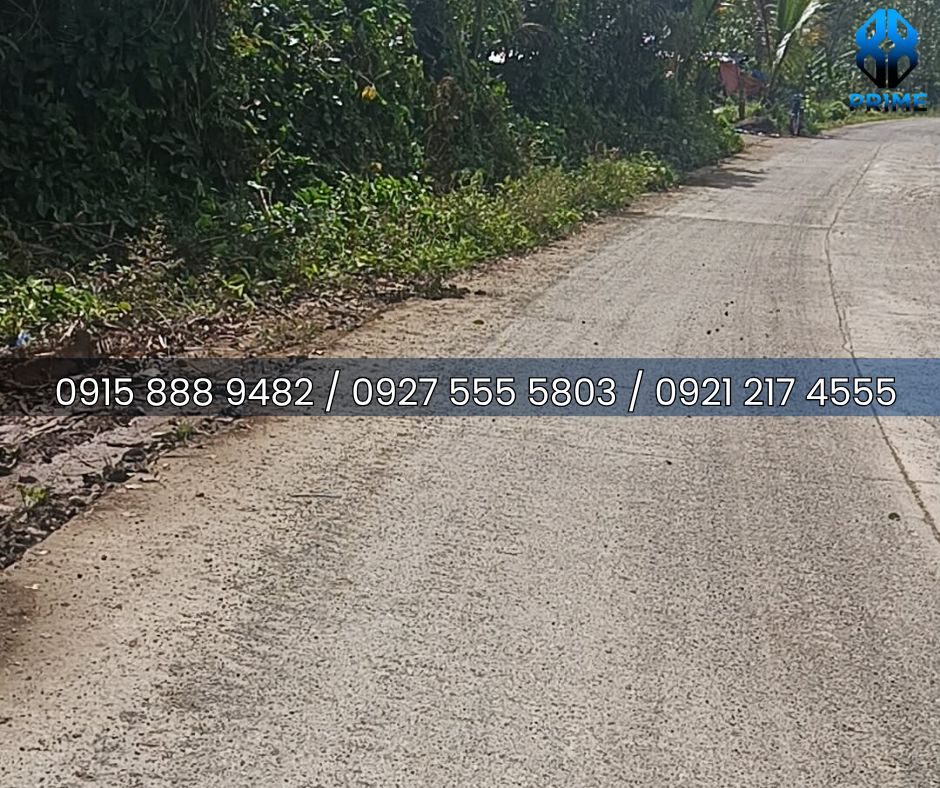 Lot for Sale in Laguna, photo 6