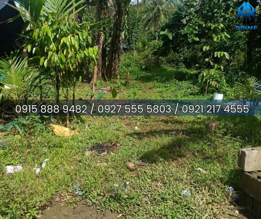 Lot for Sale in Laguna, photo 4