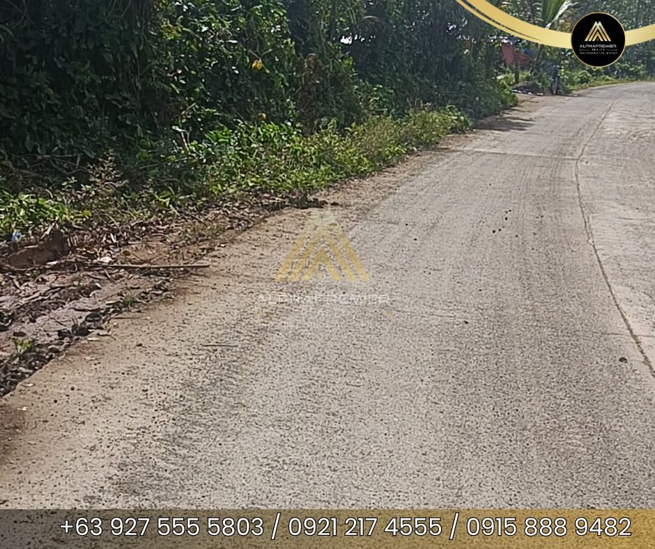 Lot for Sale in Laguna, photo 3