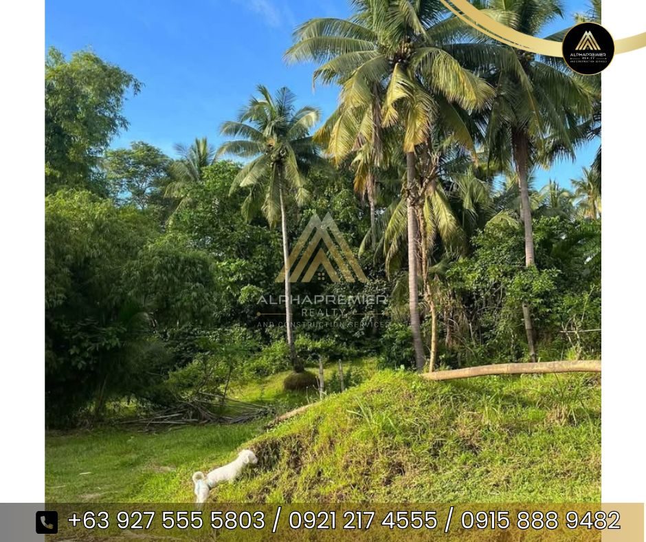 Lot for Lease in Batangas, photo 4