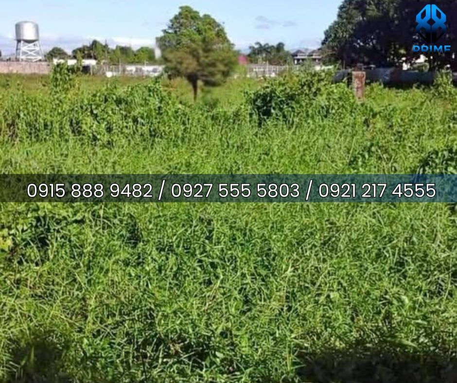 Lot for Sale in Bulacan, photo 4