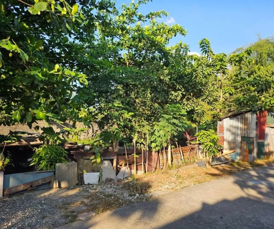 Lot for Sale in Bulacan, photo 2