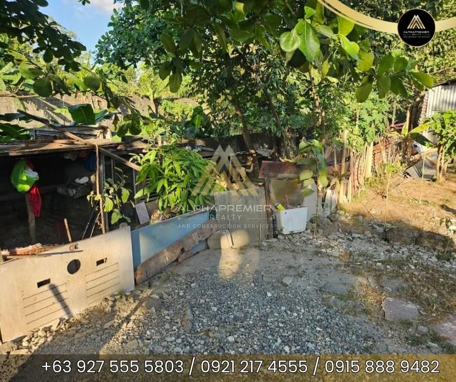 Lot for Sale in Bulacan, photo 3