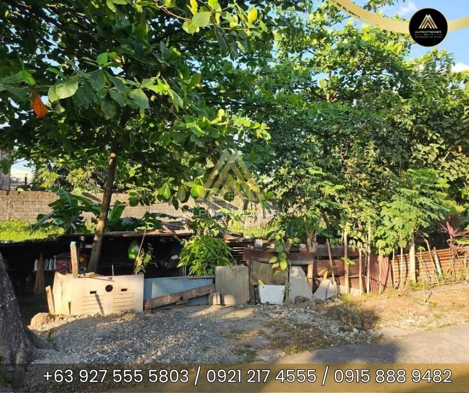 Lot for Sale in Bulacan, photo 1