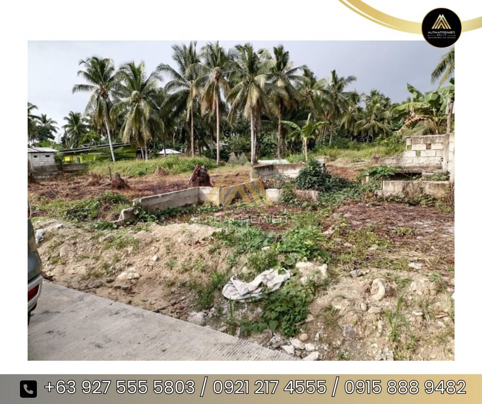 Lot for Sale in Tacloban 2, photo 4