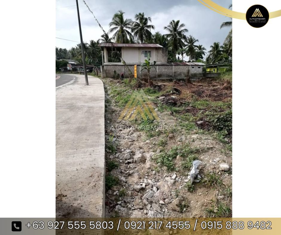 Lot for Sale in Tacloban 2, photo 3