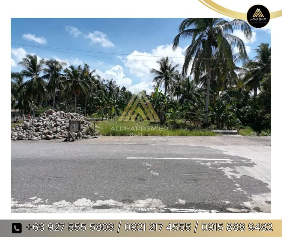 Lot for Sale in Tacloban 2, photo 2