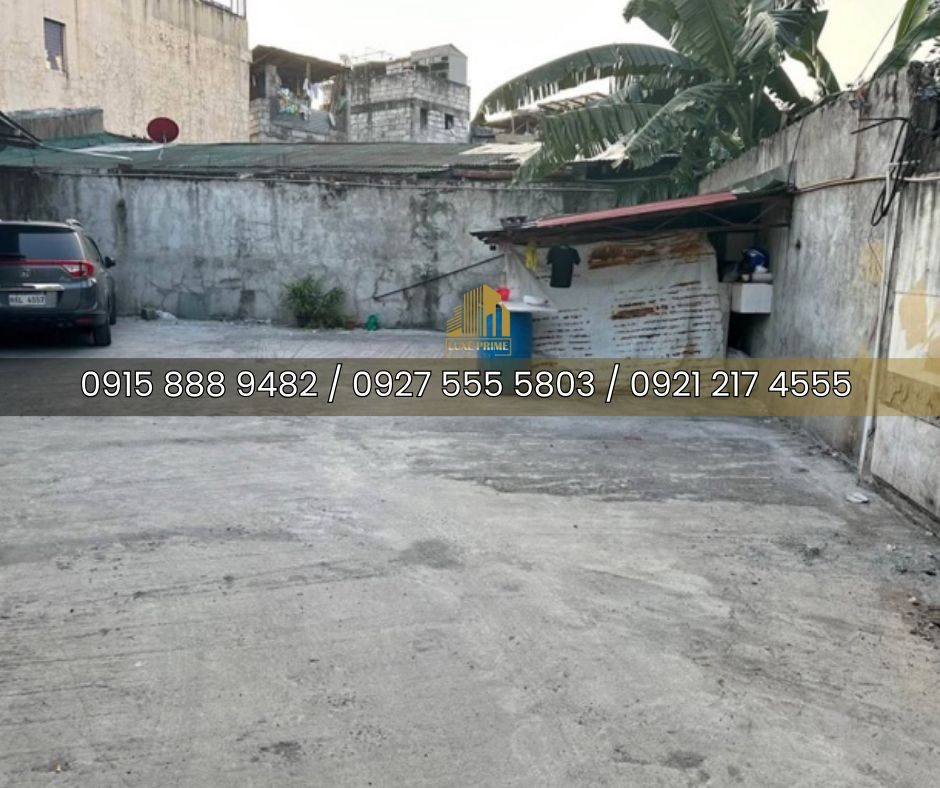 Commercial Space for Sale in Metro Manila, photo 2