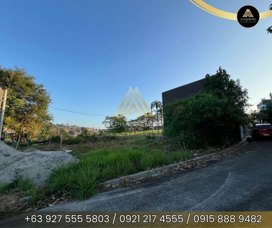 Lot for Sale in Binangonan, photo 5