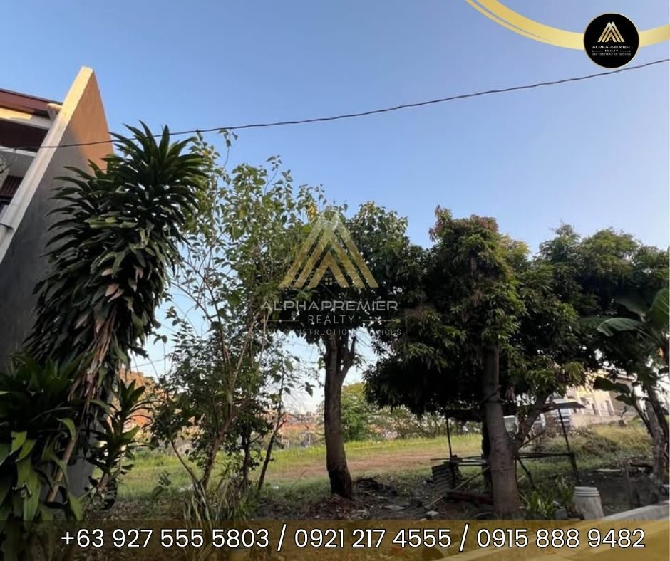 Lot for Sale in Binangonan, photo 1