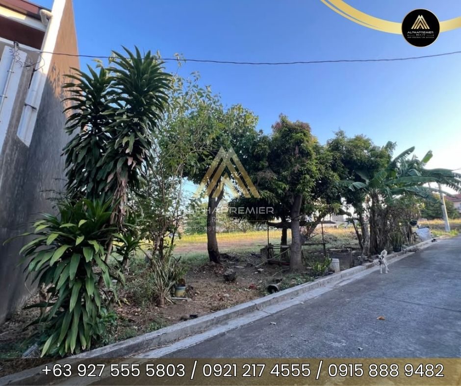 Lot for Sale in Binangonan, photo 3