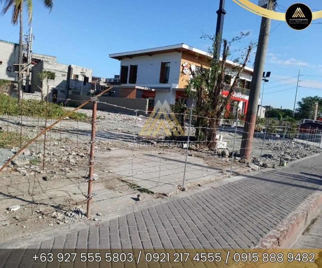 Lot for Lease in Las Piñas City, photo 3