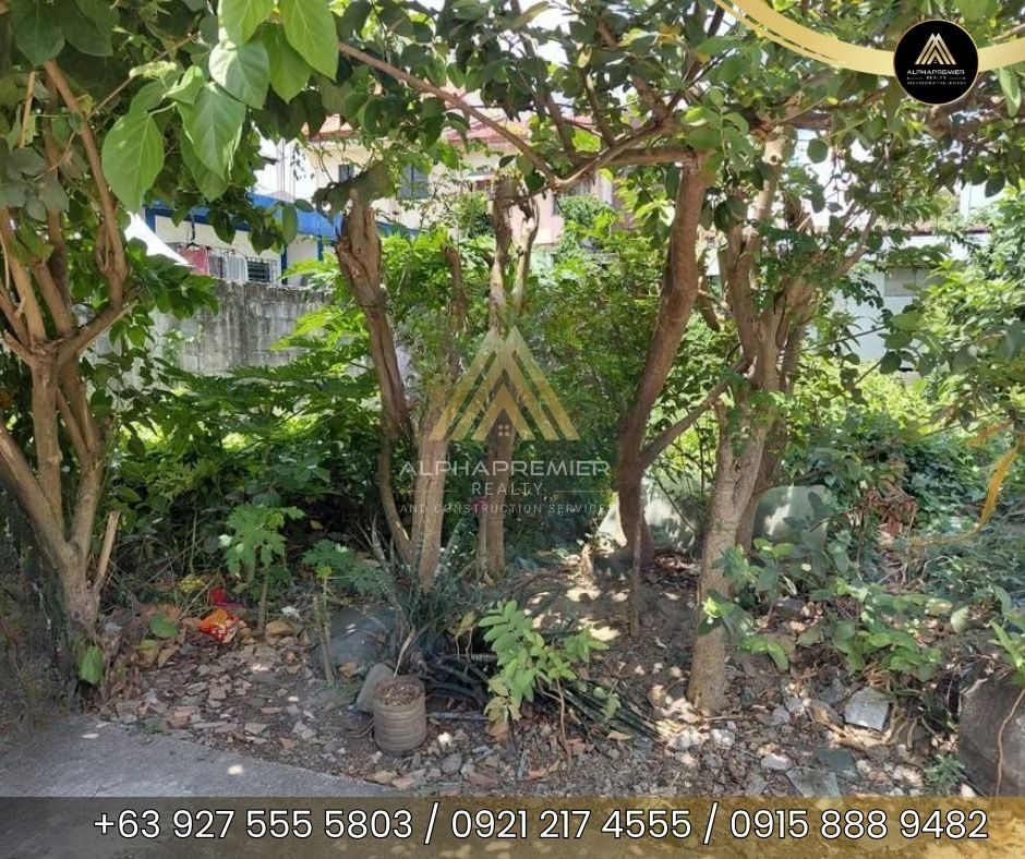Lot for Sale in Cainta, photo 1