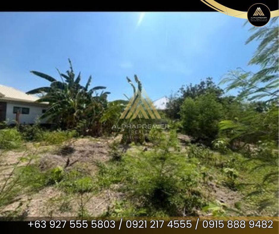 Lot for Sale in La Union, photo 8