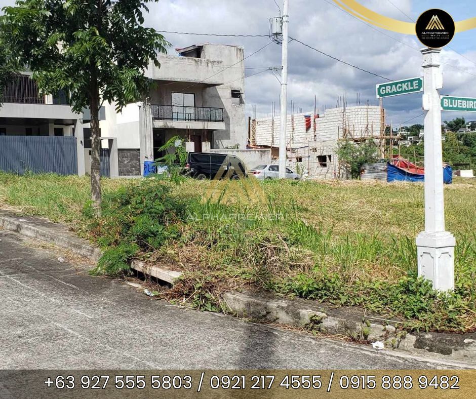 Lot for Sale in Taytay, photo 1