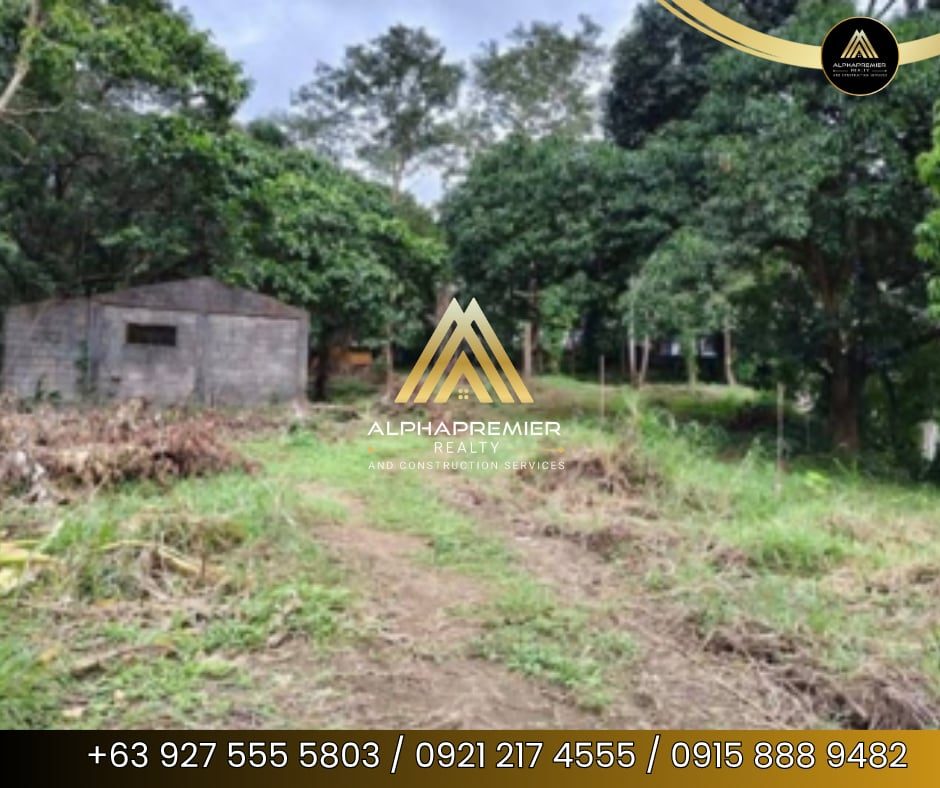 Lot for Sale in Bulacan, photo 1