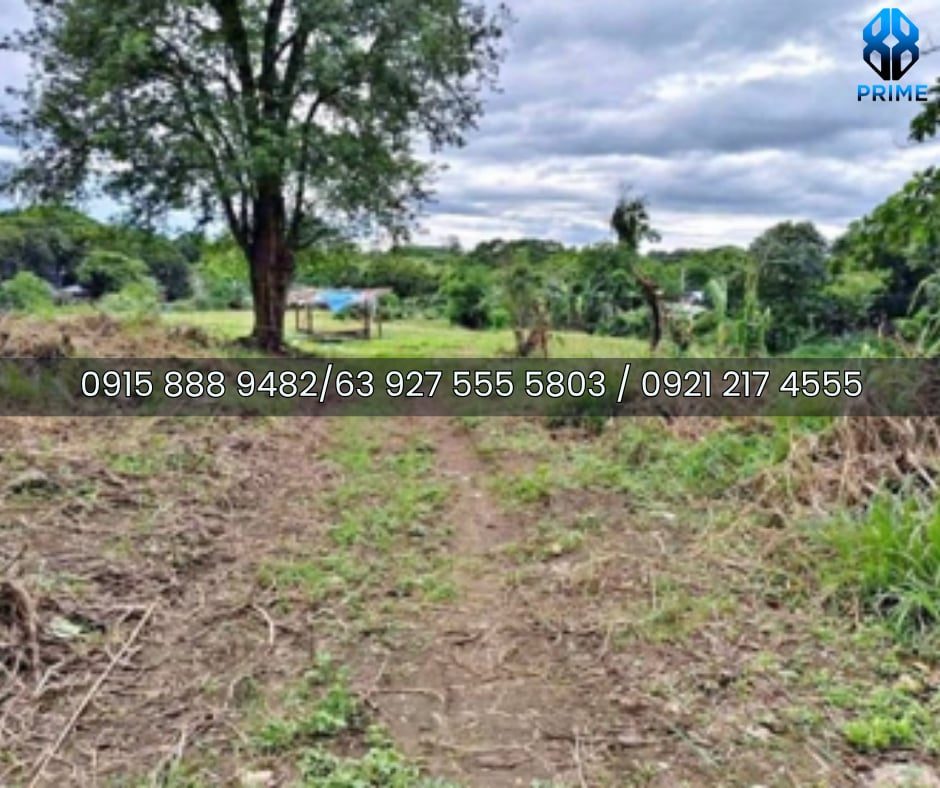 Lot for Sale in Bulacan, photo 4