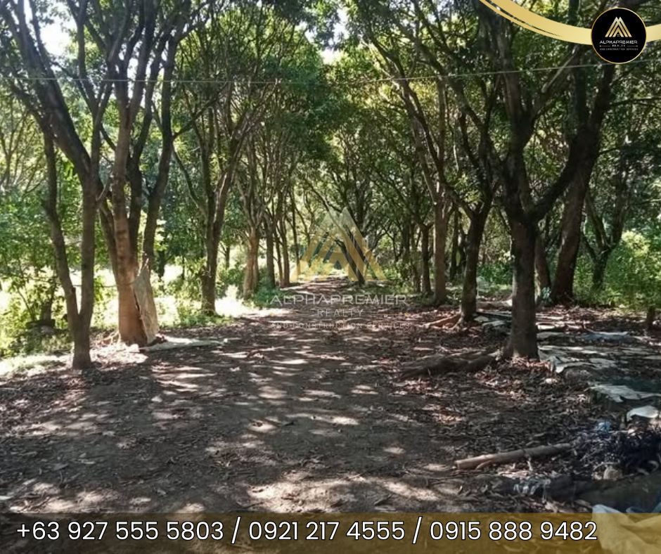 Lot for Lease in Rizal, photo 1