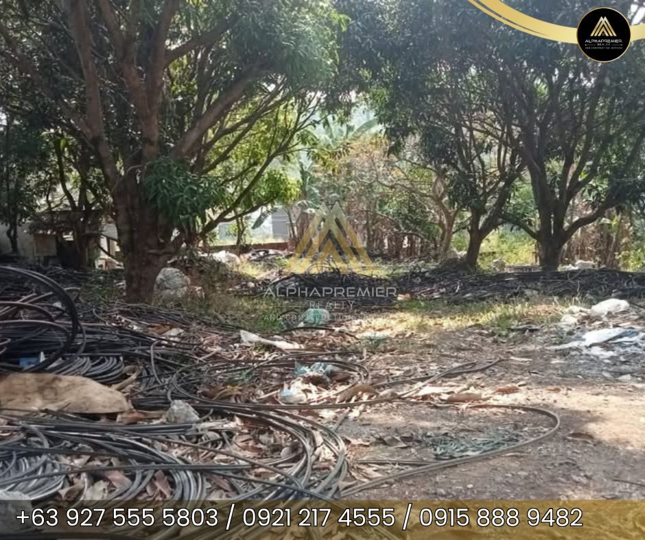 Lot for Lease in Rizal, photo 3