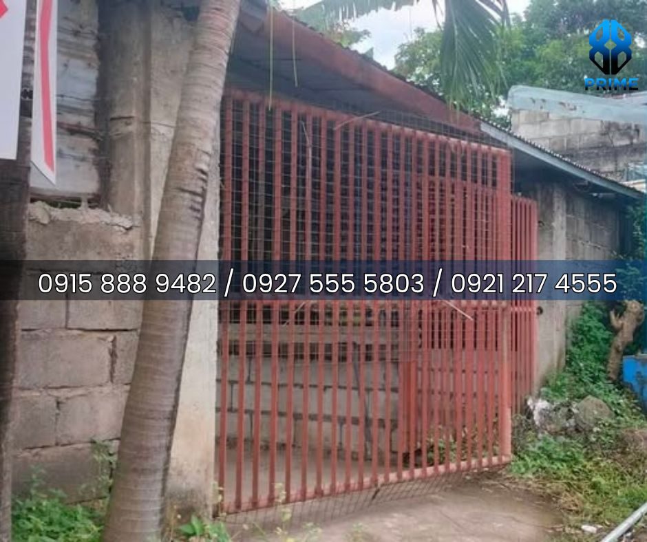 Lot for Sale in Rizal, photo 7