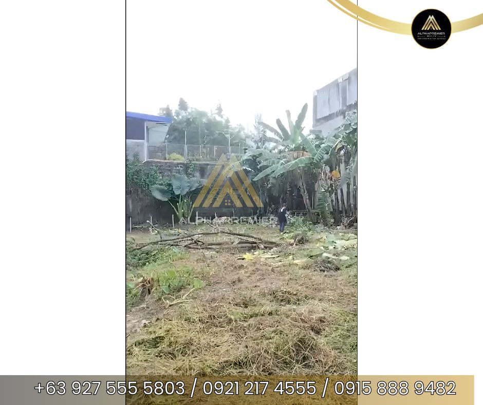 Lot for Sale in Rizal, photo 5