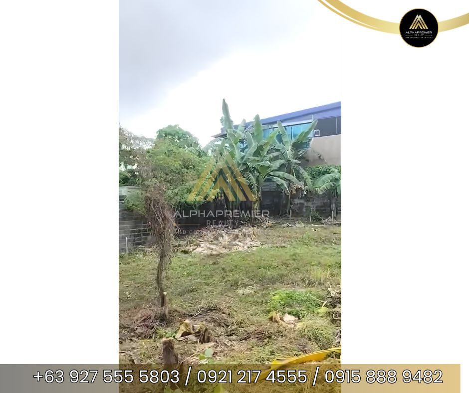 Lot for Sale in Rizal, photo 4