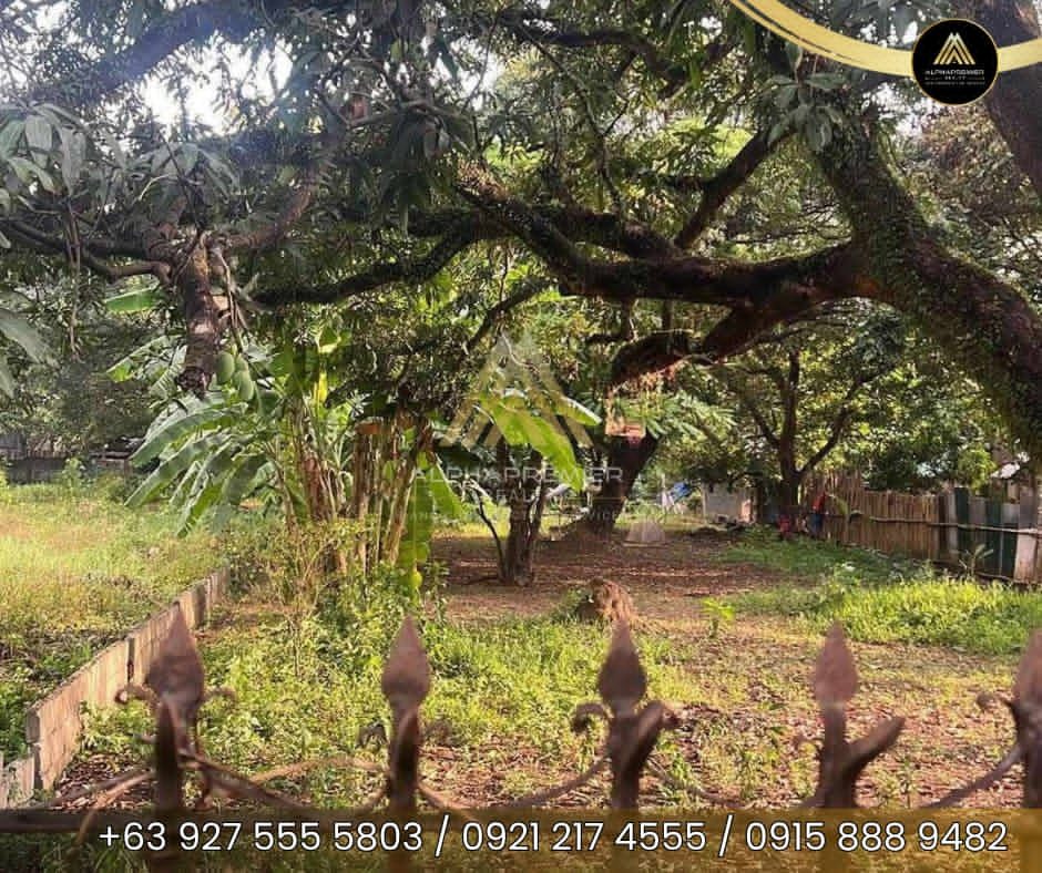 Lot for Lease in Pulilan, photo 4