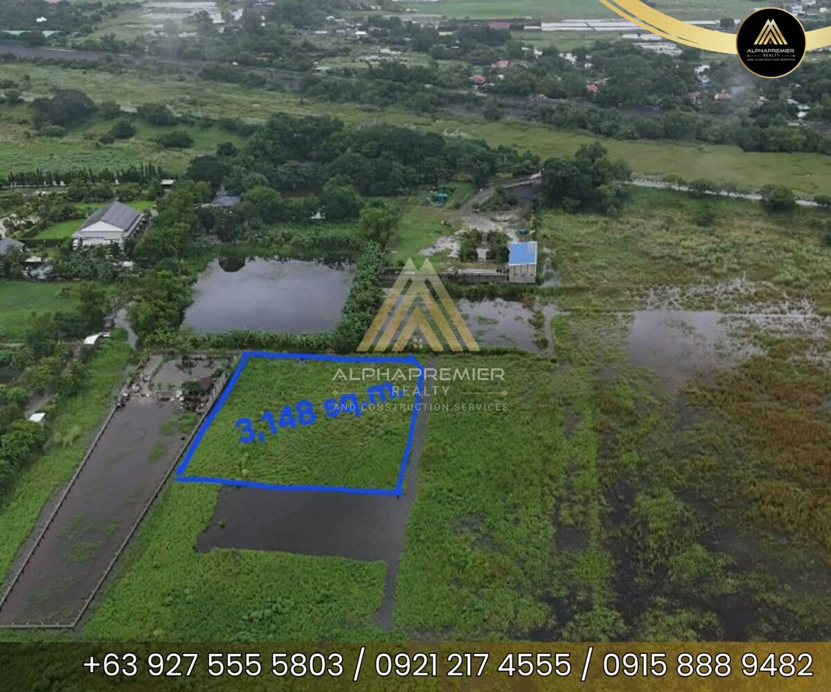Lot for Sale in Pampanga, photo 1