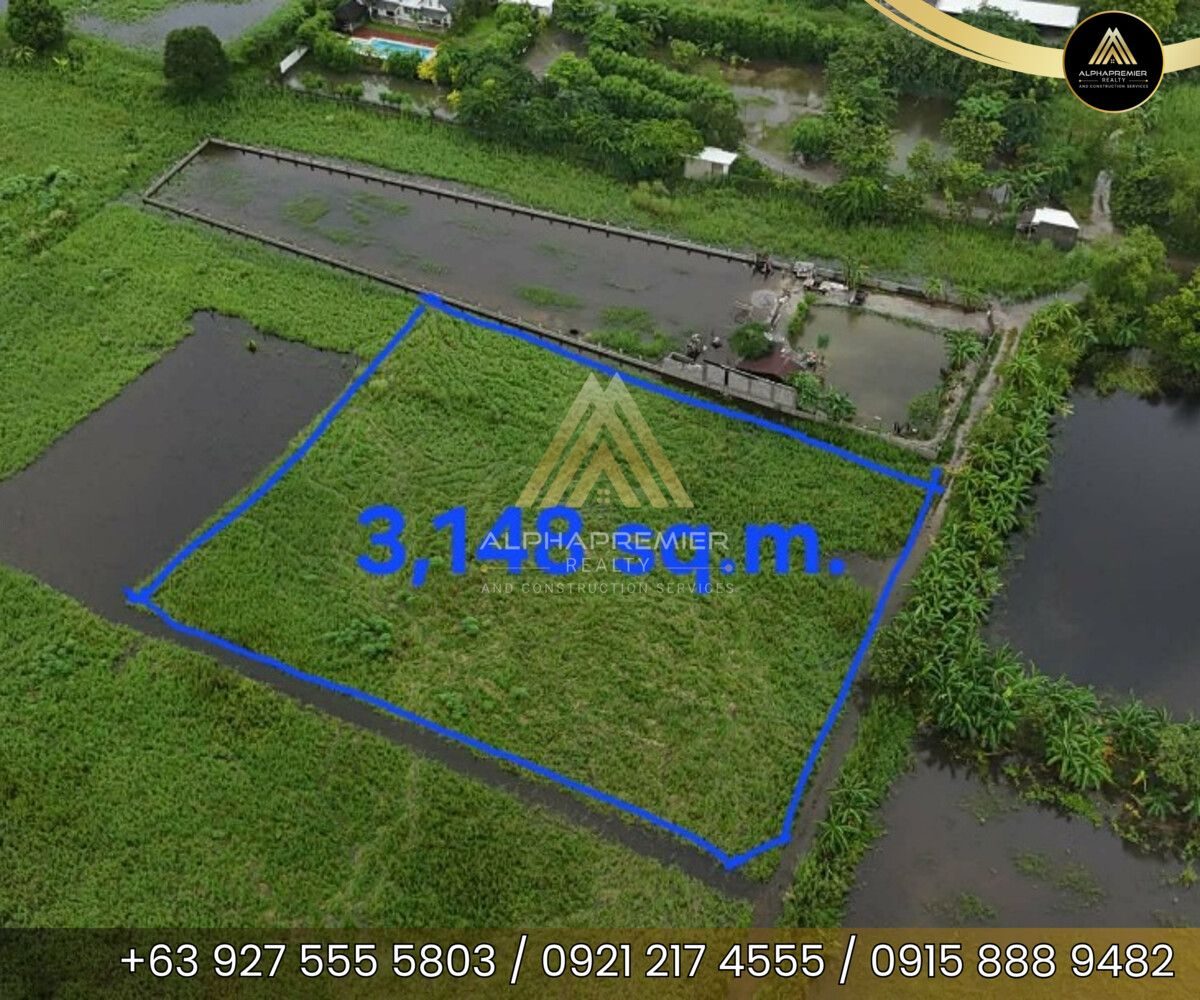 Lot for Sale in Pampanga, photo 3