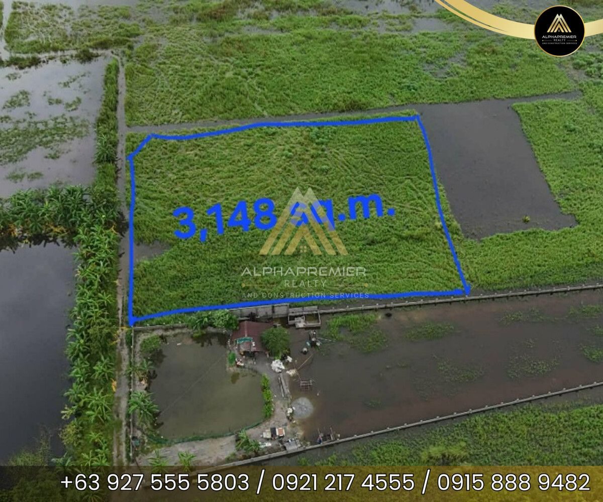 Lot for Sale in Pampanga, photo 2