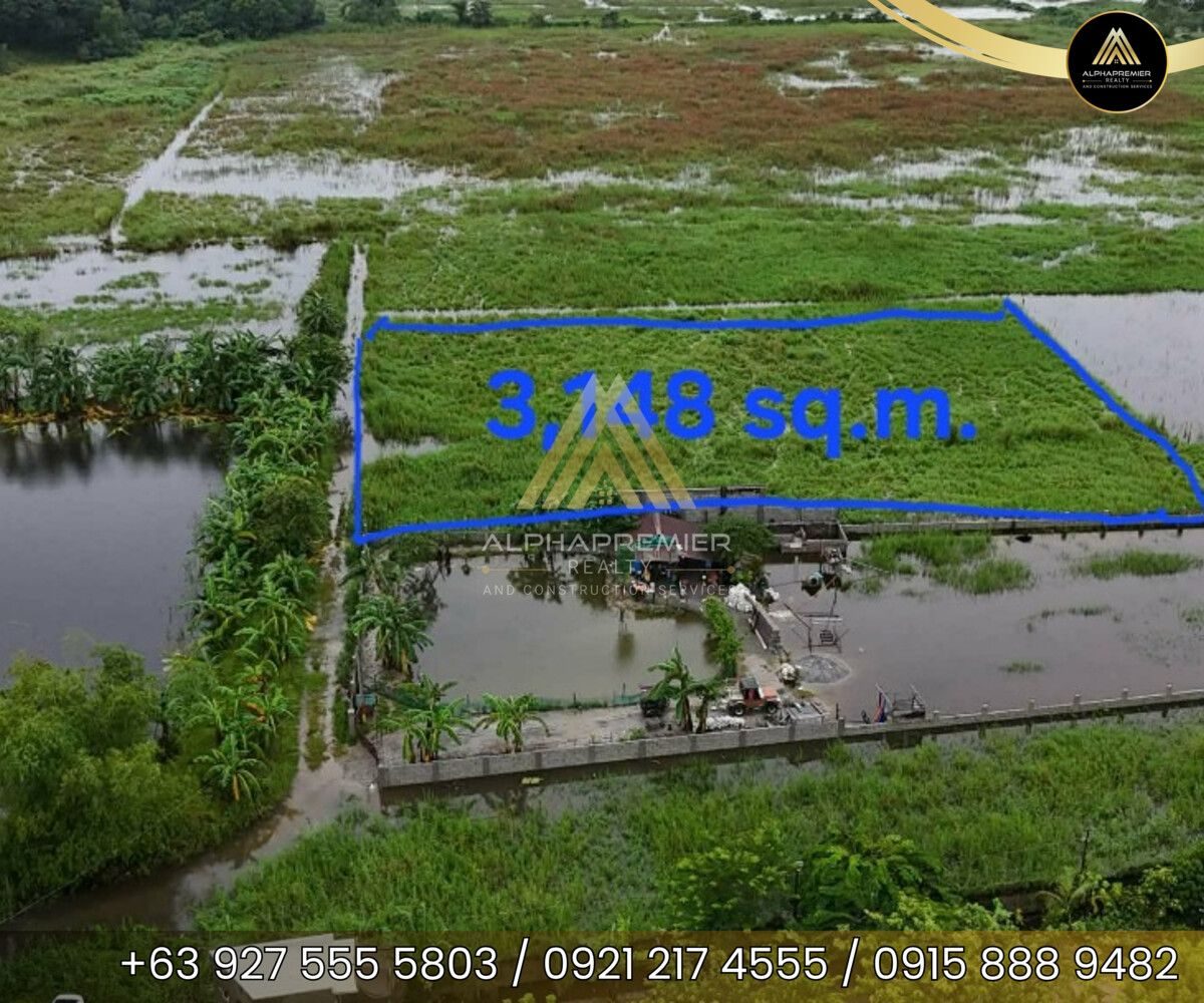 Lot for Sale in Pampanga, photo 4