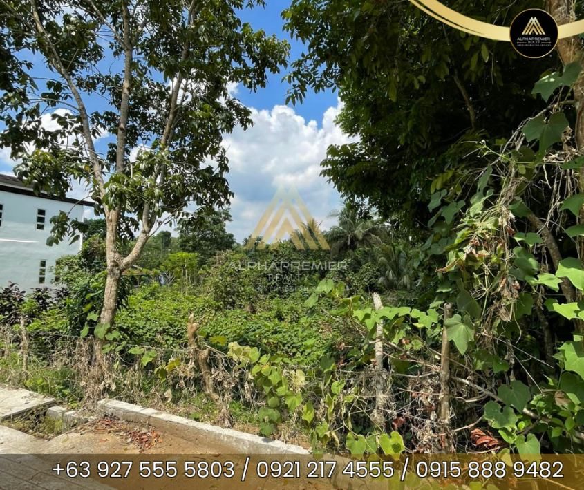 Lot for Sale in Cavite, photo 2