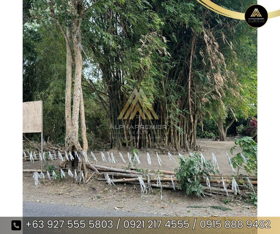 Lot for Lease in Laguna, photo 1