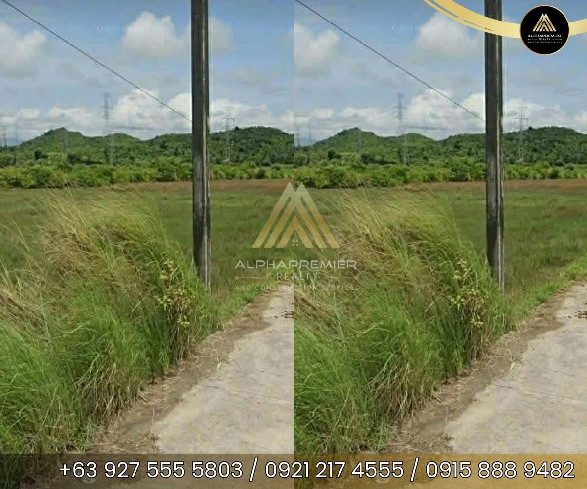 Lot for Sale in Quezon, photo 2