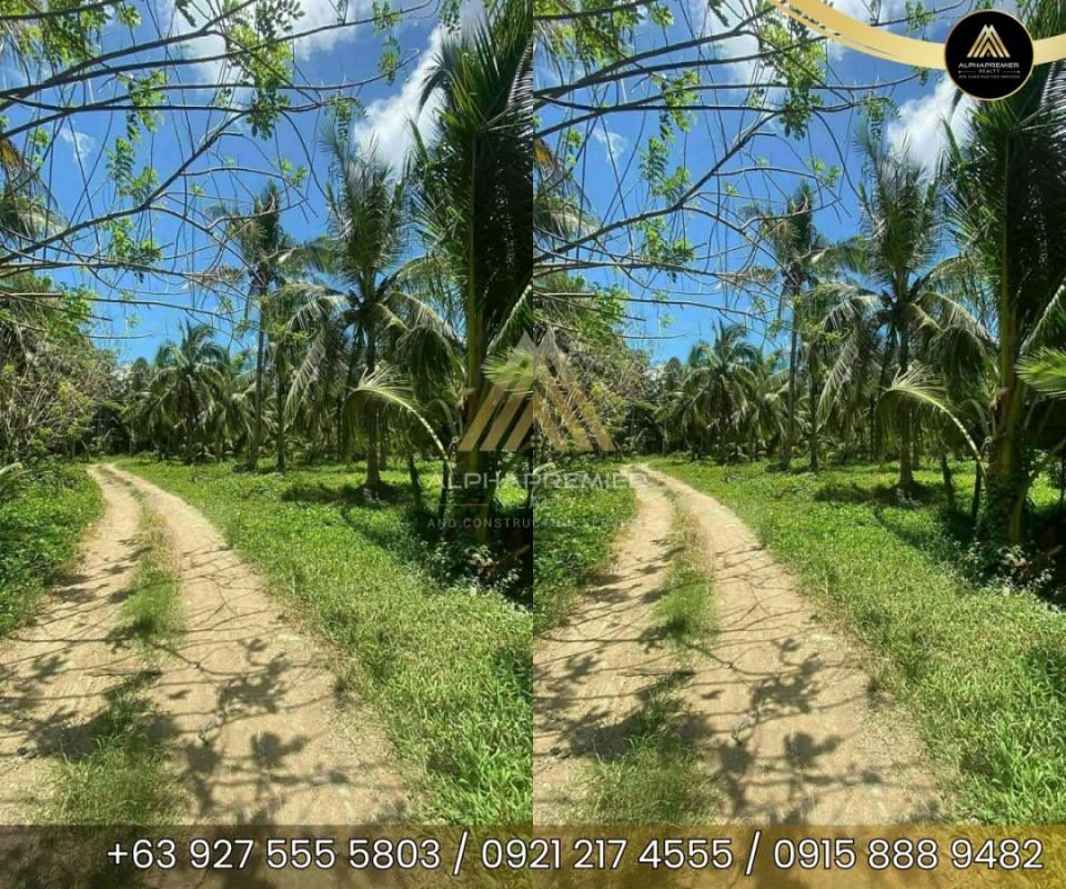Lot for Sale in Quezon, photo 1