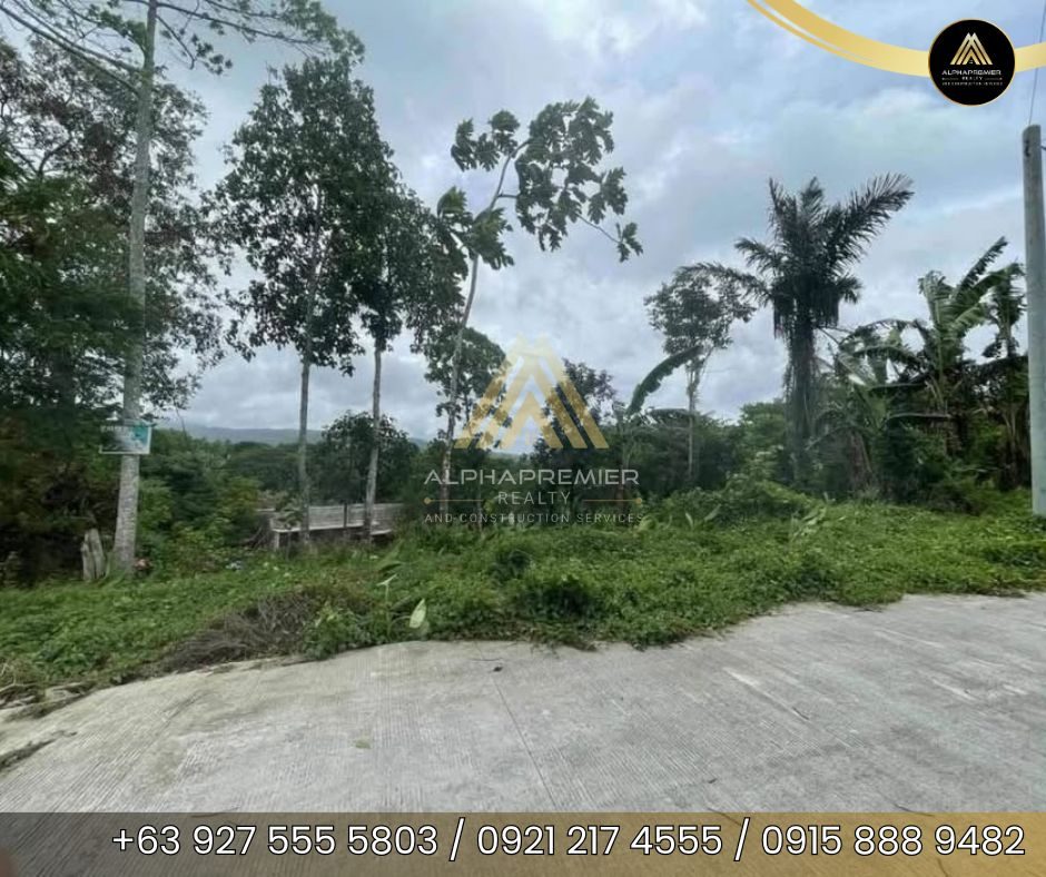 Lot for Lease in Cavite, photo 1