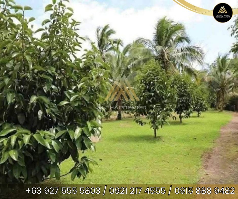 Lot for Sale in Laguna, photo 3