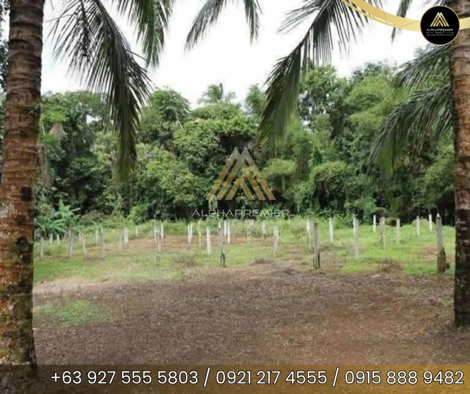 Lot for Sale in Laguna, photo 7
