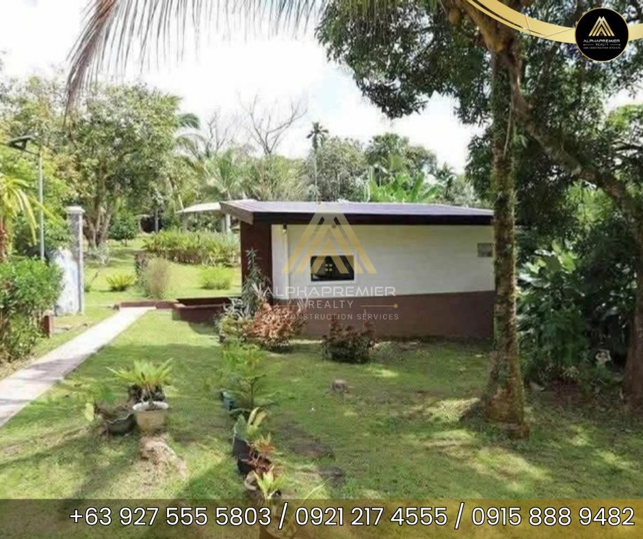 Lot for Sale in Laguna, photo 2