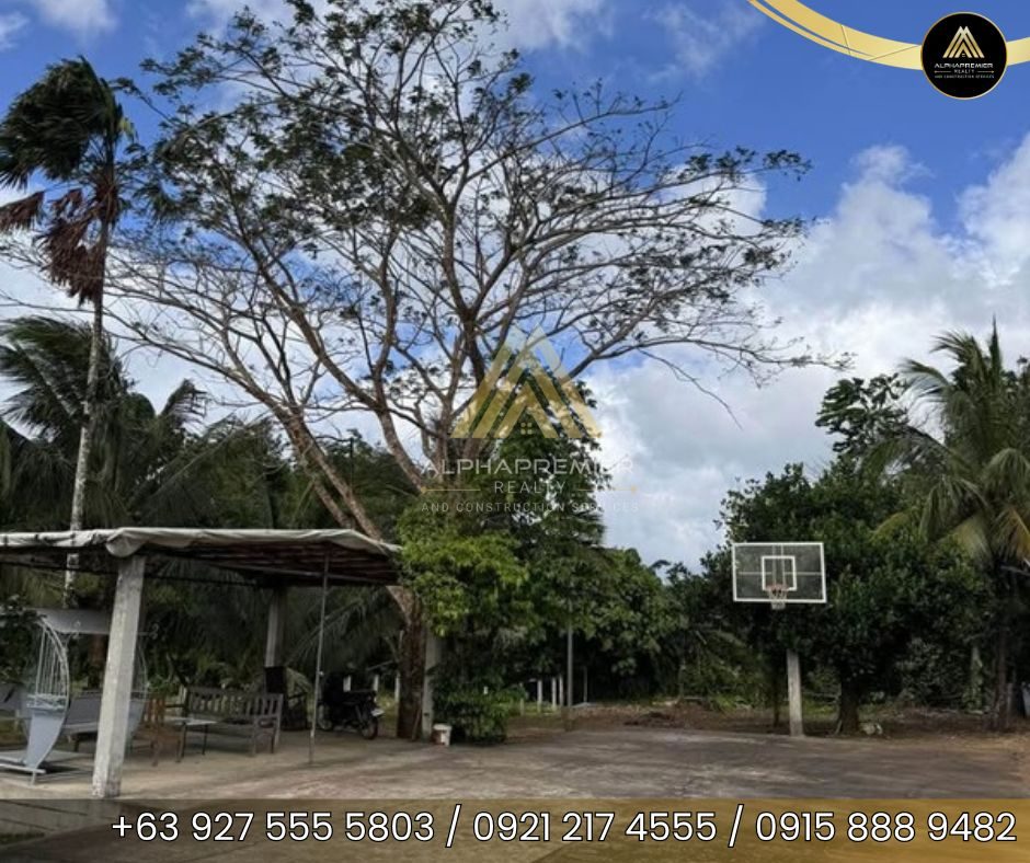 Lot for Sale in Laguna, photo 6