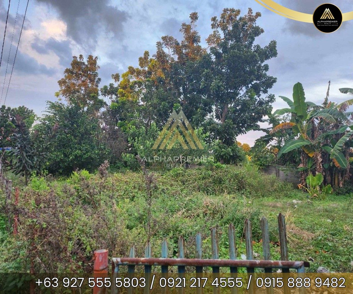 Lot for Lease in Pangasinan, photo 3