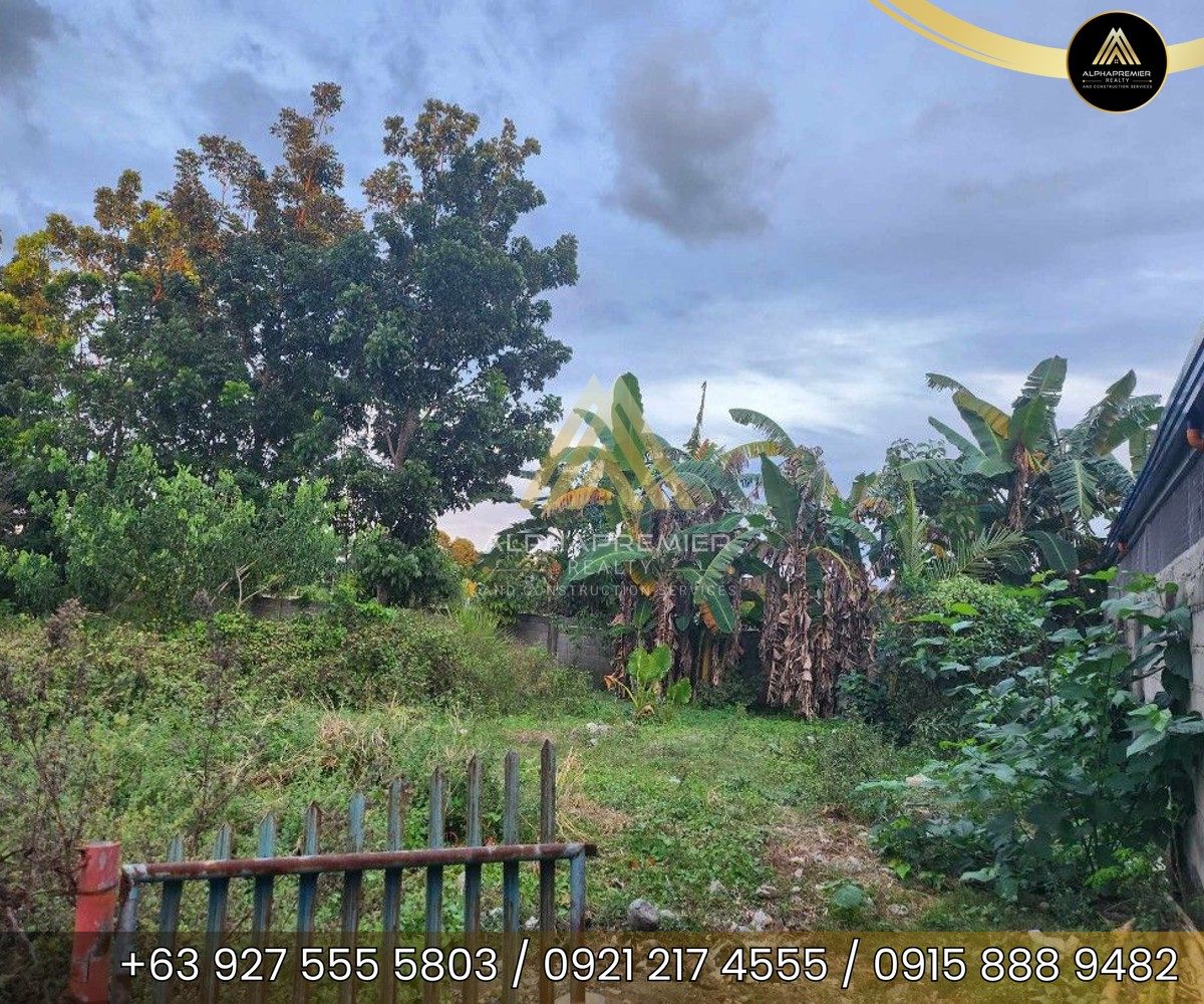 Lot for Lease in Pangasinan, photo 2