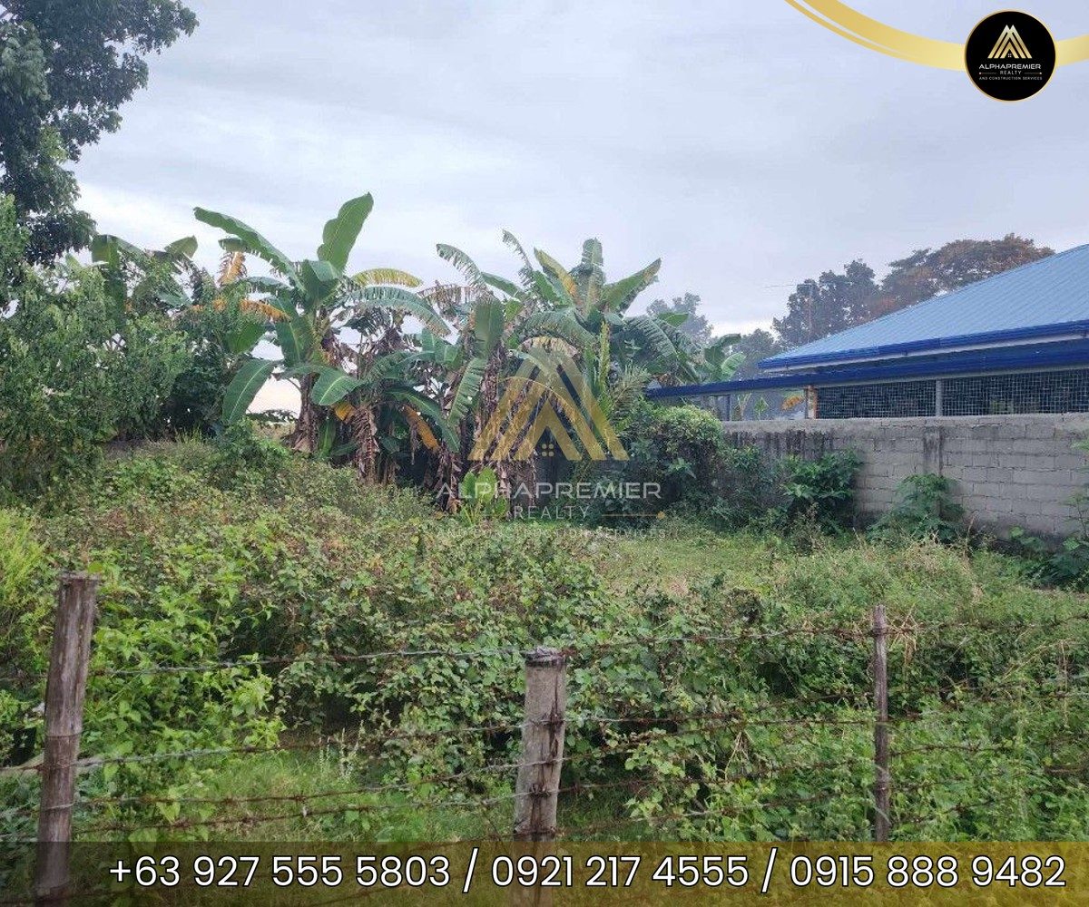 Lot for Lease in Pangasinan, photo 1