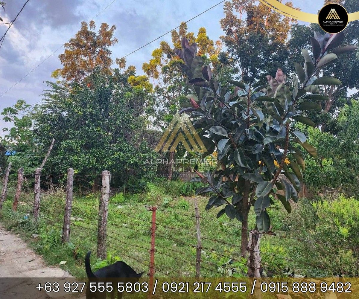 Lot for Lease in Pangasinan, photo 4