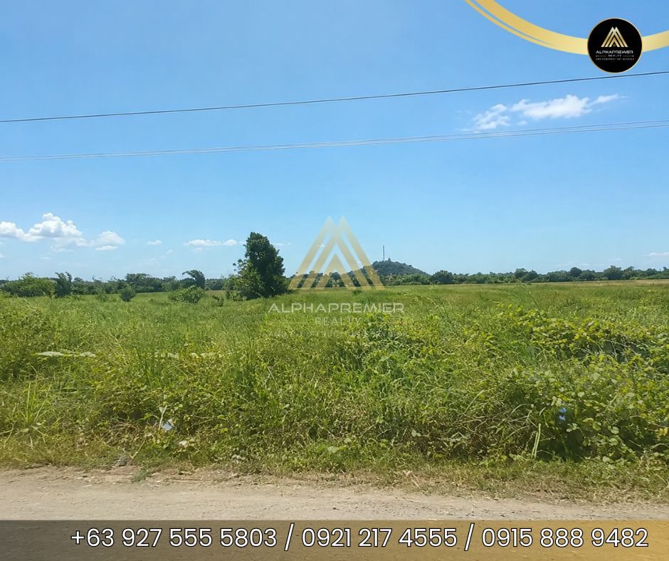 Lot for Sale in Calamba City, photo 6