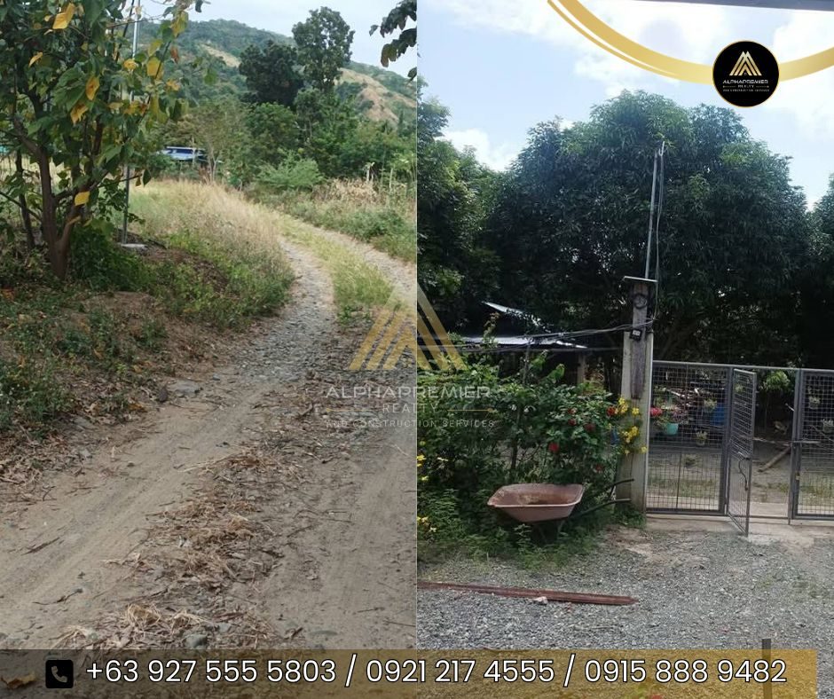 Lot for Sale in Nueva Ecija, photo 2