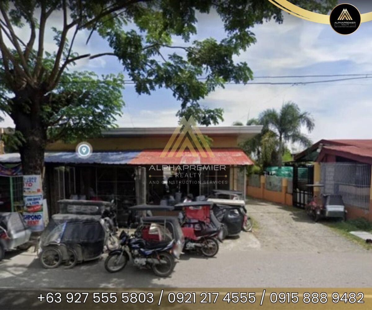 Lot for Sale in Nueva Ecija, photo 4