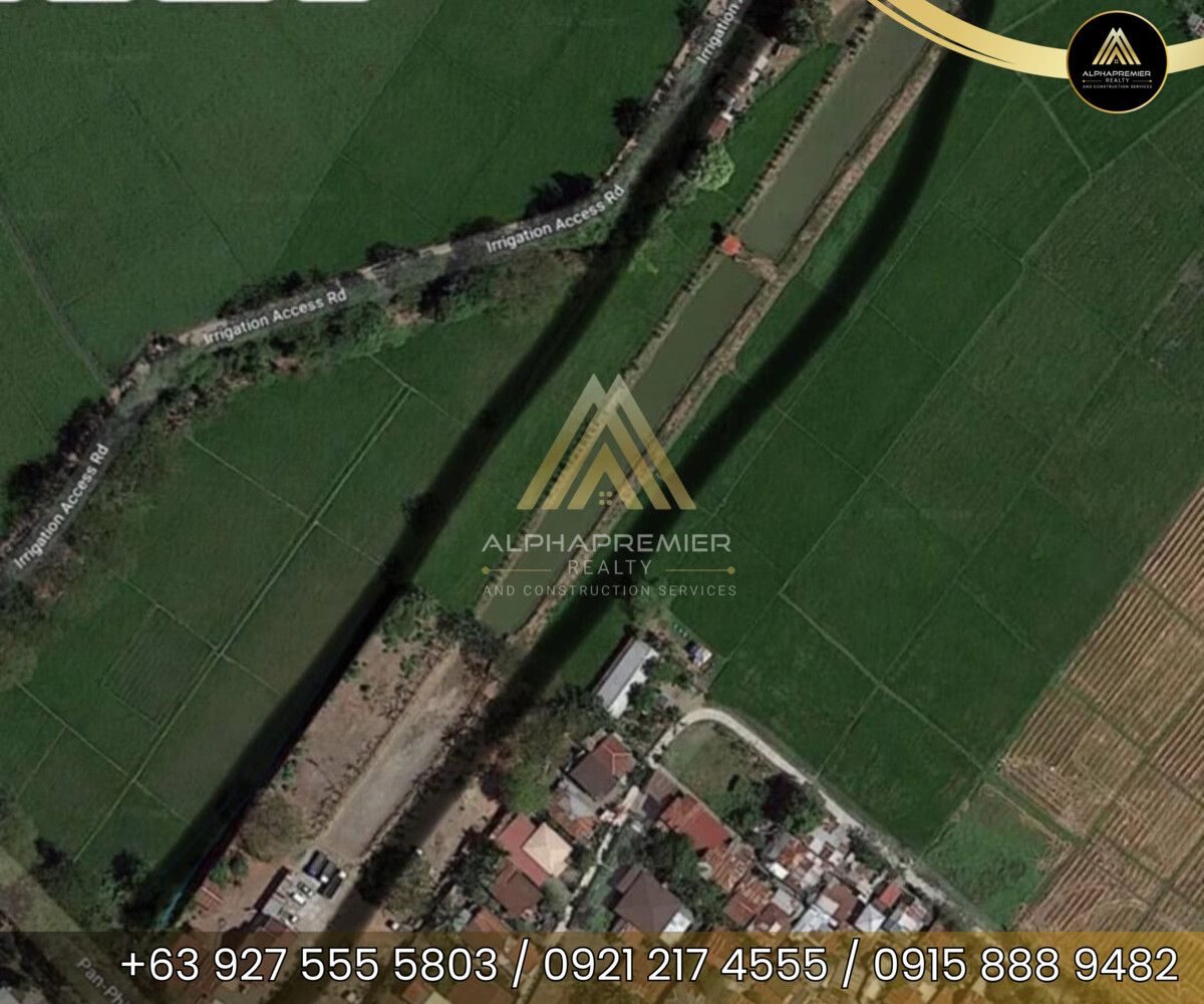 Lot for Sale in Nueva Ecija, photo 2