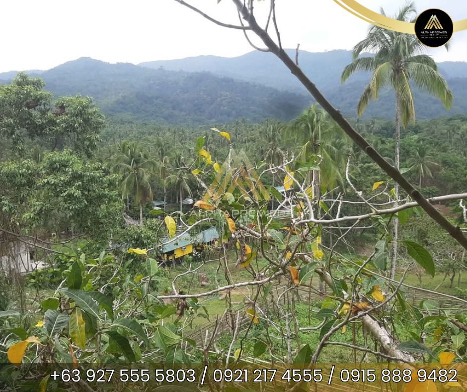 Lot for Sale in Tanay, photo 5